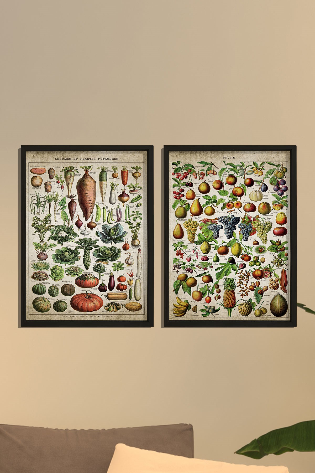 Doğal Çam Çerçeveli Mutfak Duvar Tablosu Antik Meyve - Sebze ve İsimleri