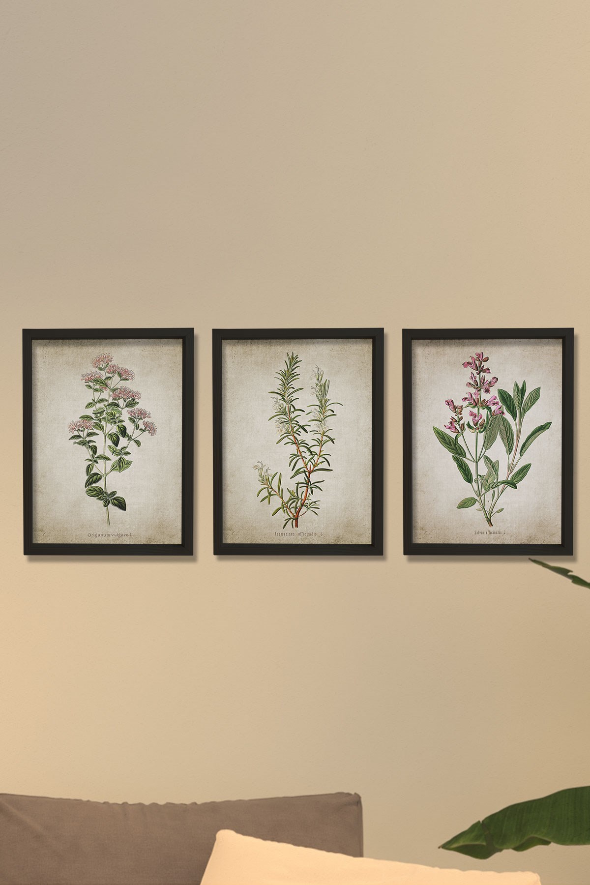 Doğal Çam Çerçeveli Mutfak Duvar Tablosu Antik Kekik, Biberiye, Adaçayı