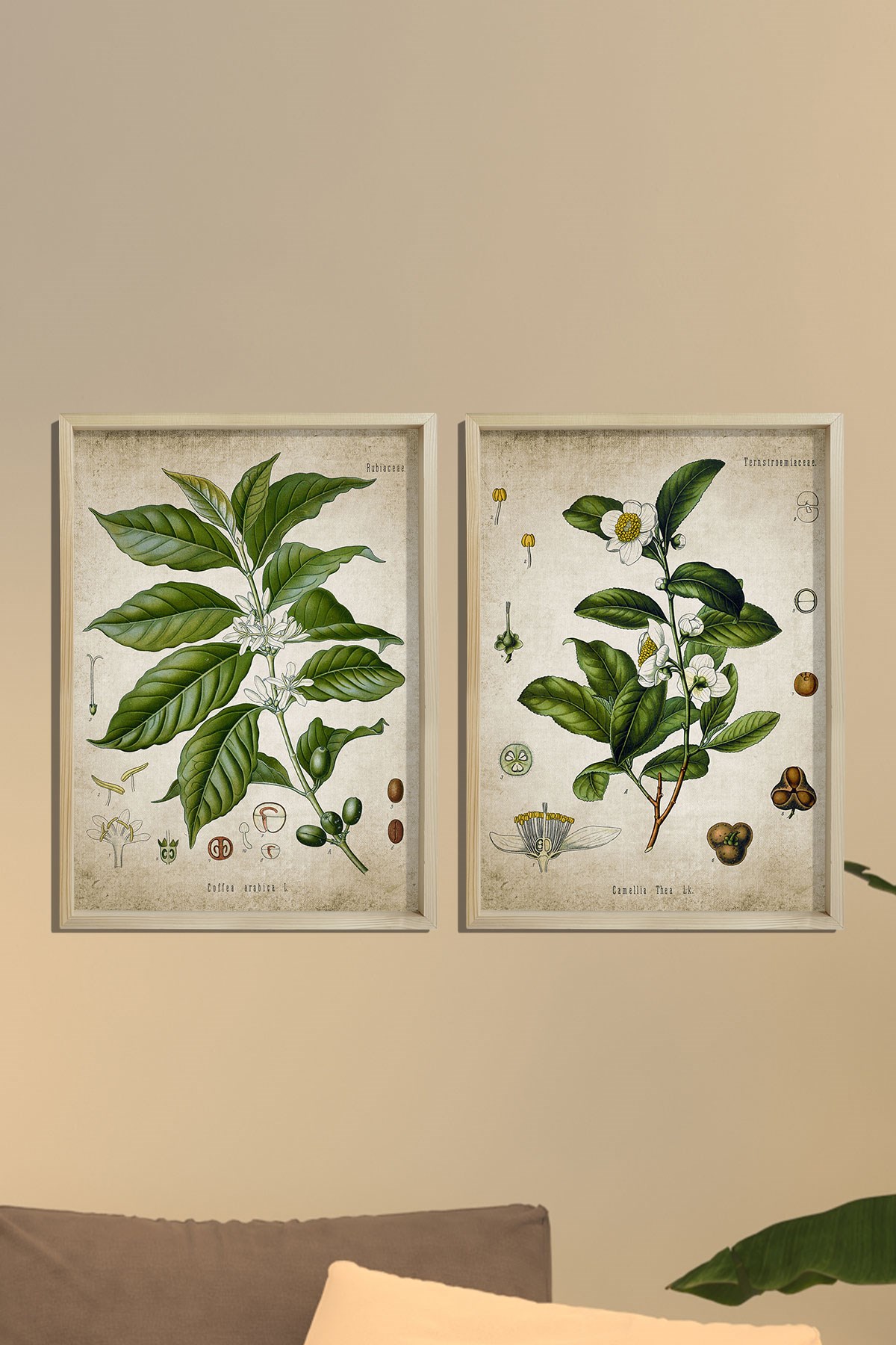 Doğal Çam Çerçeveli Mutfak Duvar Tablosu Antik Çay ve Kahve Bitkileri