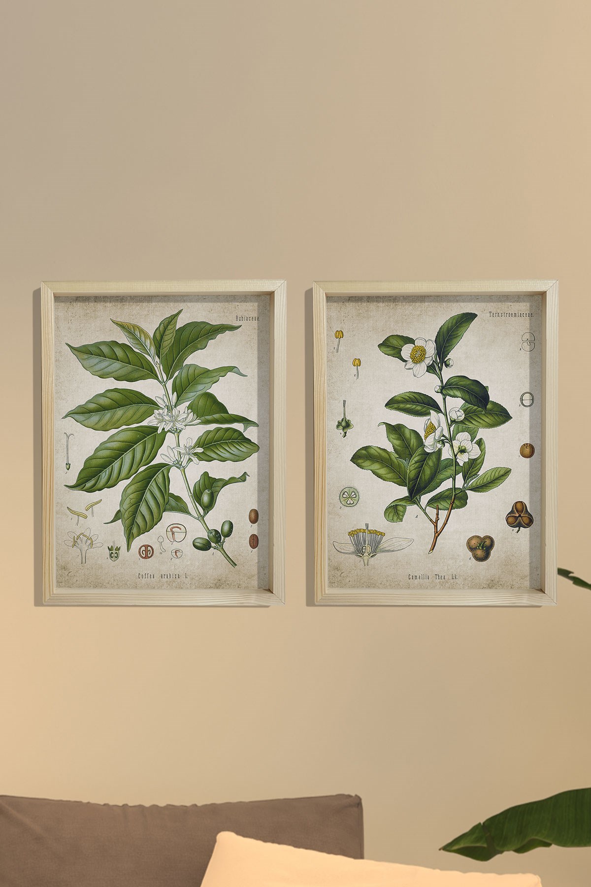 Doğal Çam Çerçeveli Mutfak Duvar Tablosu Antik Çay ve Kahve Bitkileri