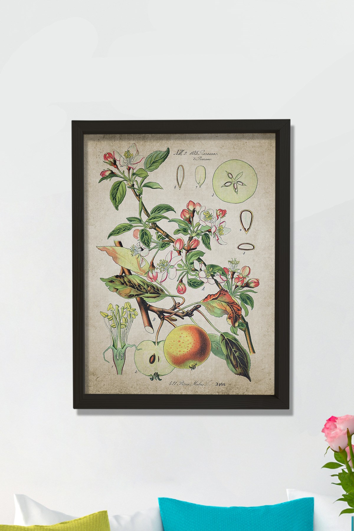 Doğal Çam Çerçeveli Mutfak Duvar Tablosu Antik Elma