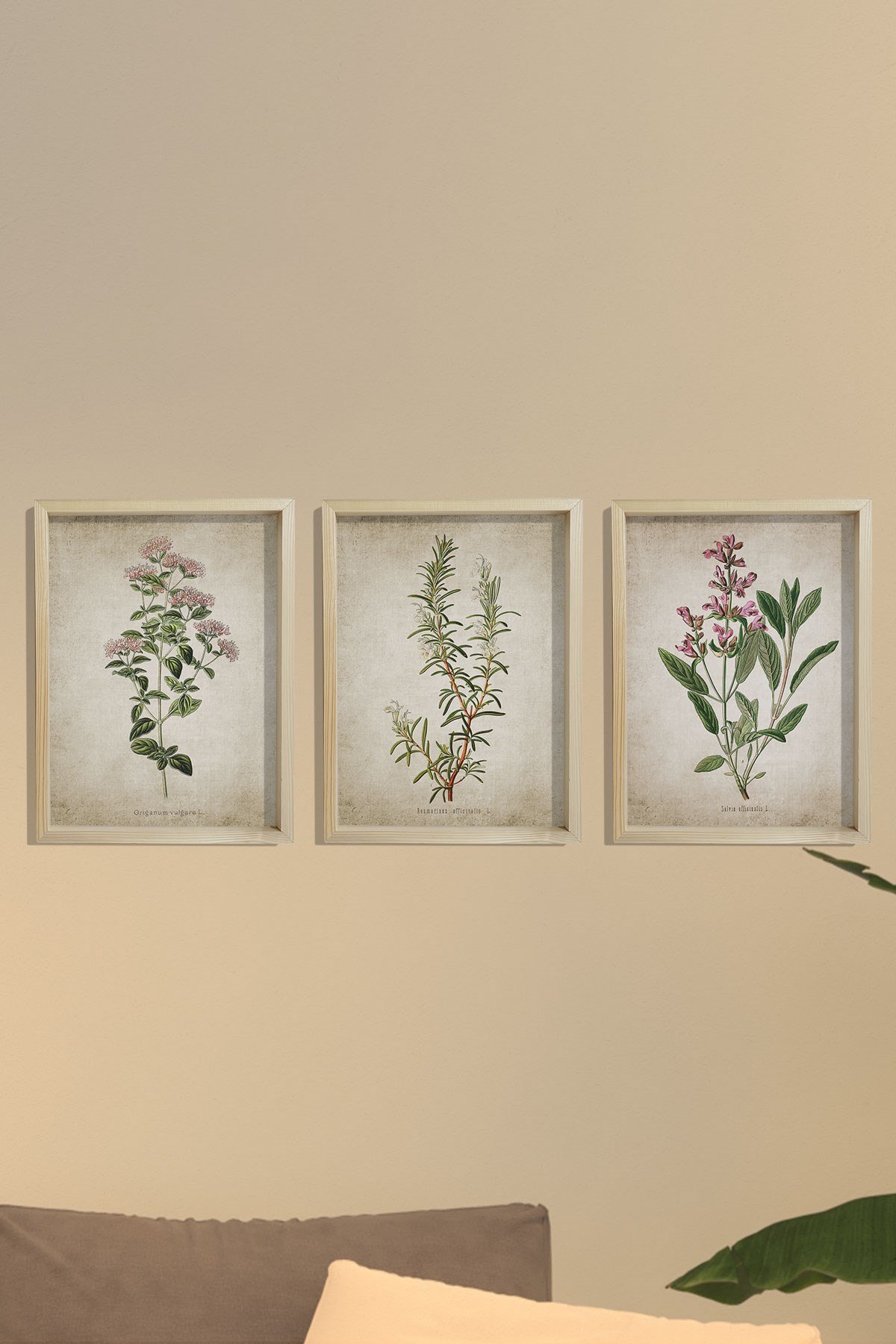 Doğal Çam Çerçeveli Mutfak Duvar Tablosu Antik Kekik, Biberiye, Adaçayı