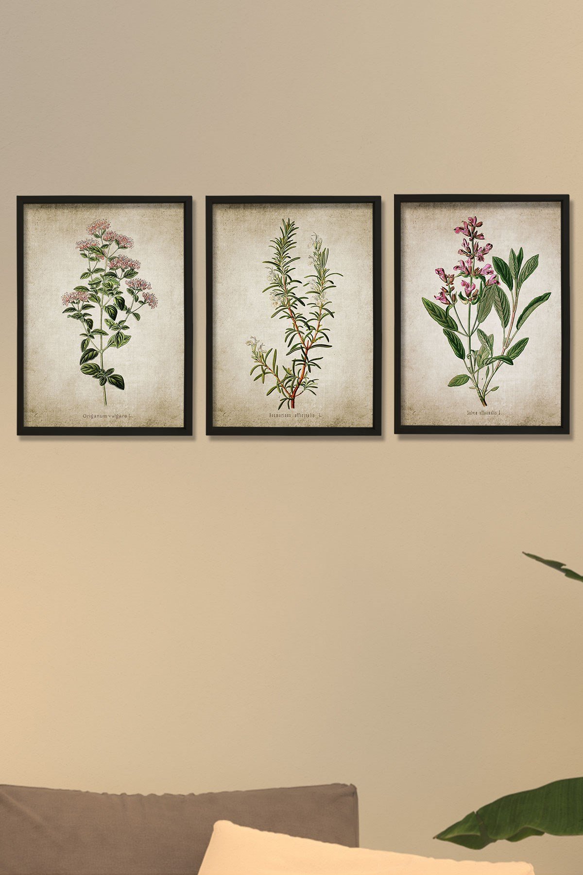 Doğal Çam Çerçeveli Mutfak Duvar Tablosu Antik Kekik, Biberiye, Adaçayı