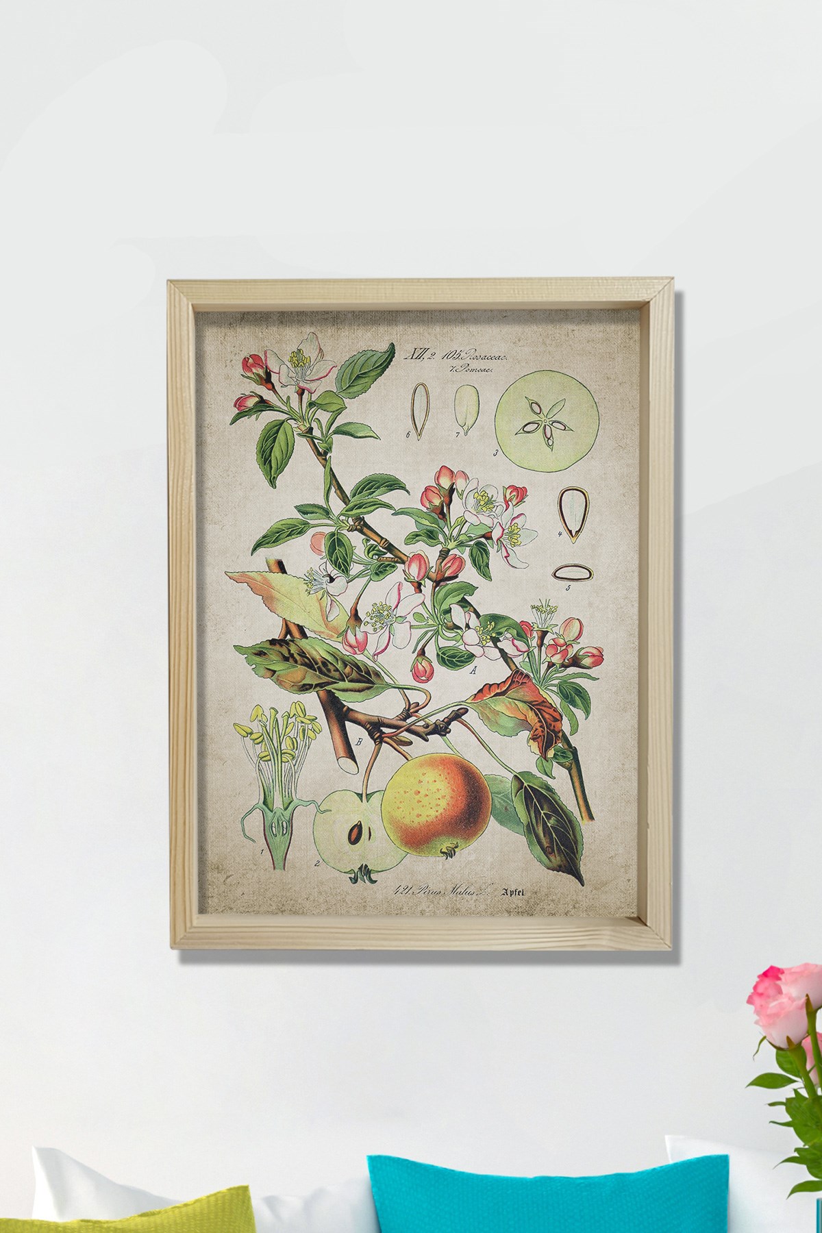 Doğal Çam Çerçeveli Mutfak Duvar Tablosu Antik Elma