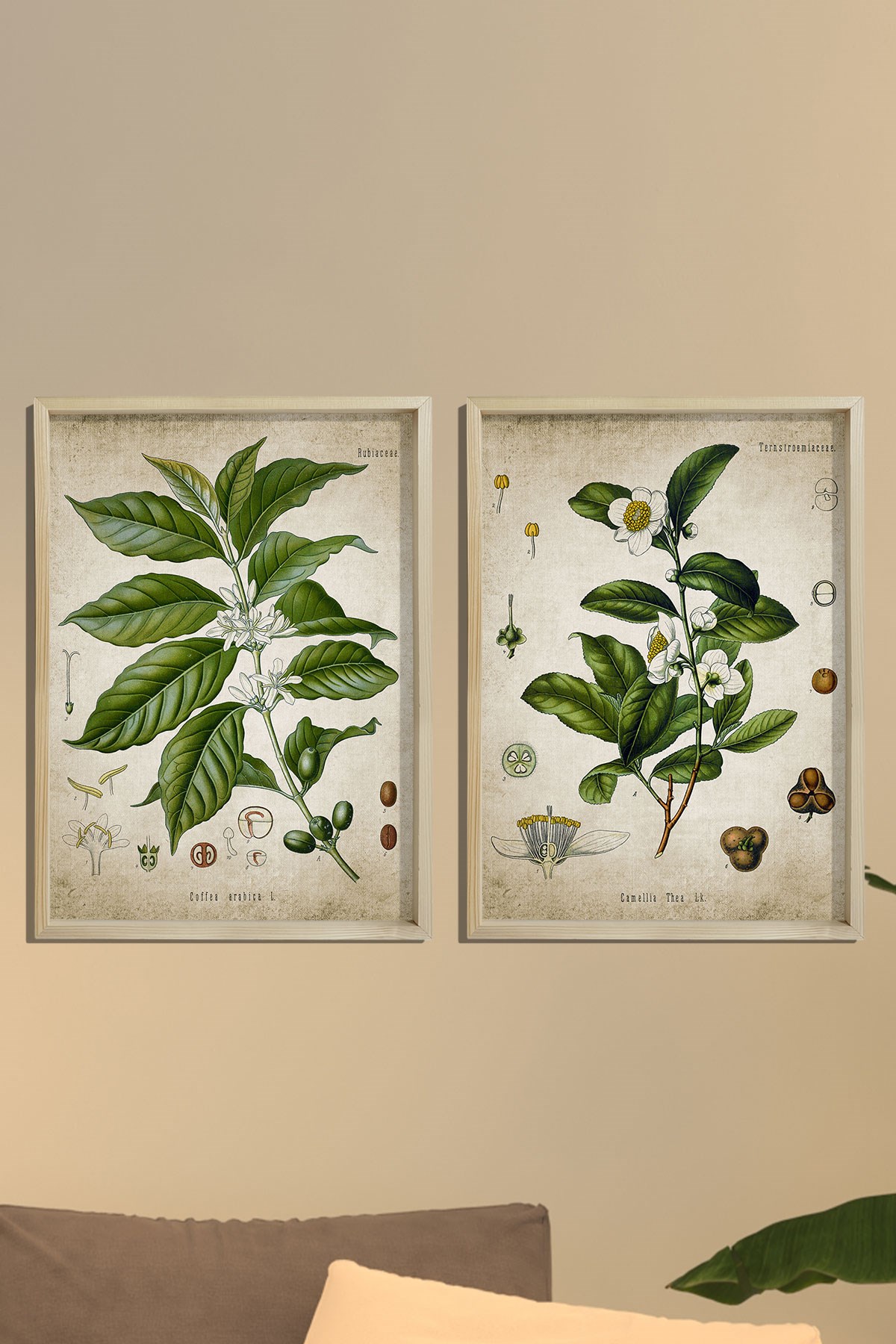 Doğal Çam Çerçeveli Mutfak Duvar Tablosu Antik Çay ve Kahve Bitkileri