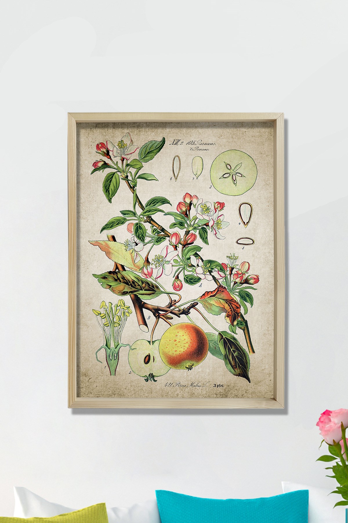 Doğal Çam Çerçeveli Mutfak Duvar Tablosu Antik Elma