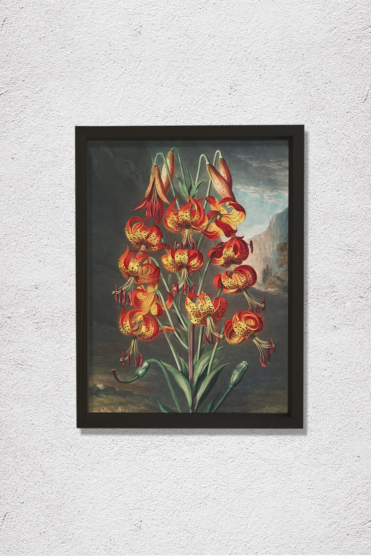 Flora Tapınağı'ndan Muhteşem Zambak 1807 Doğal Ahşap Duvar Tablosu