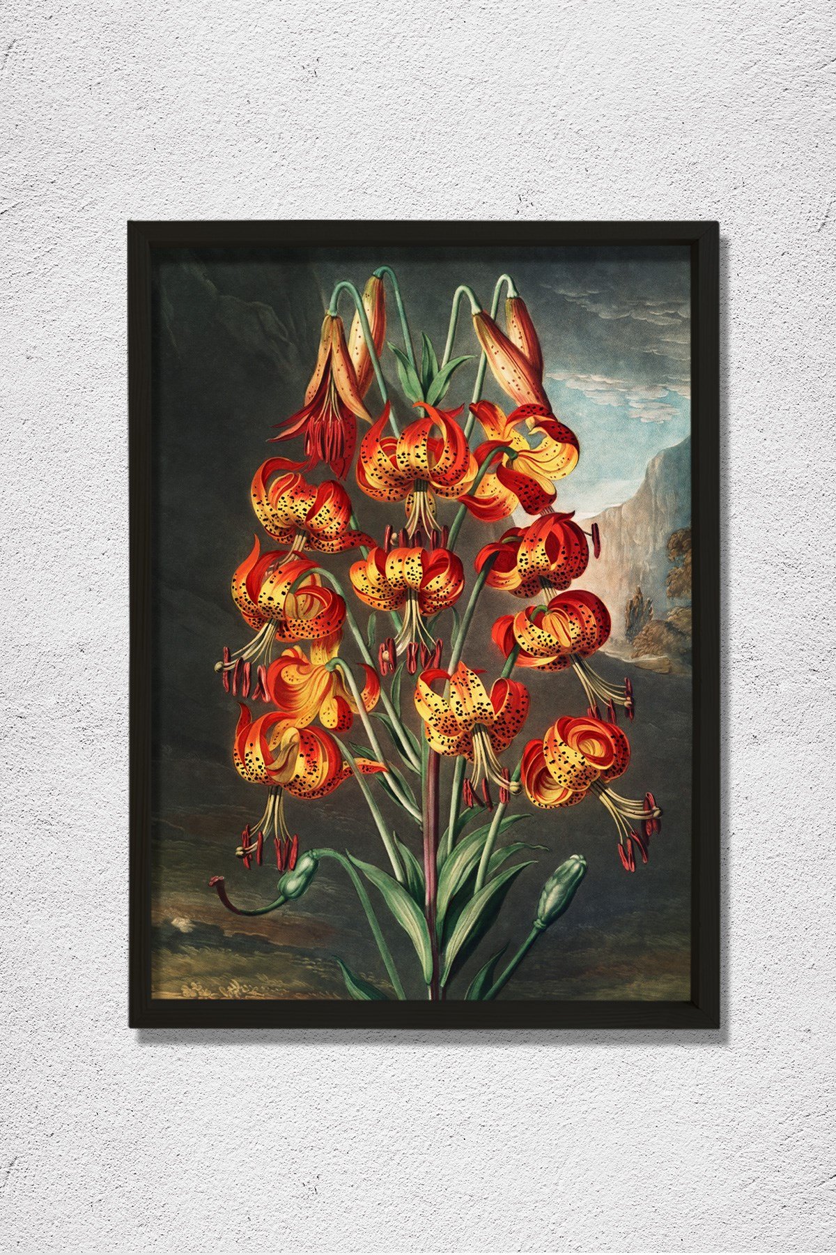 Flora Tapınağı'ndan Muhteşem Zambak 1807 Doğal Ahşap Duvar Tablosu