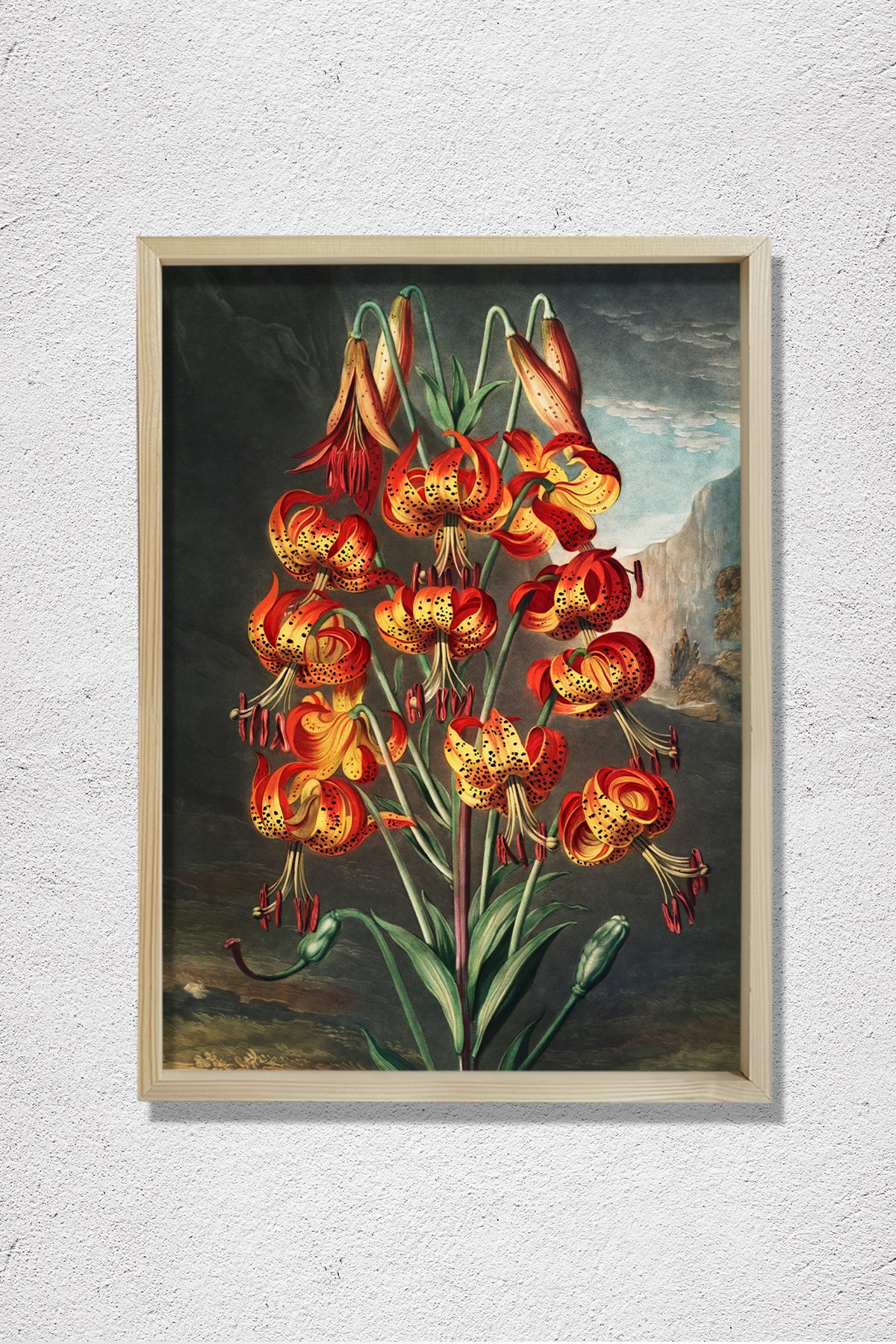 Flora Tapınağı'ndan Muhteşem Zambak 1807 Doğal Ahşap Duvar Tablosu