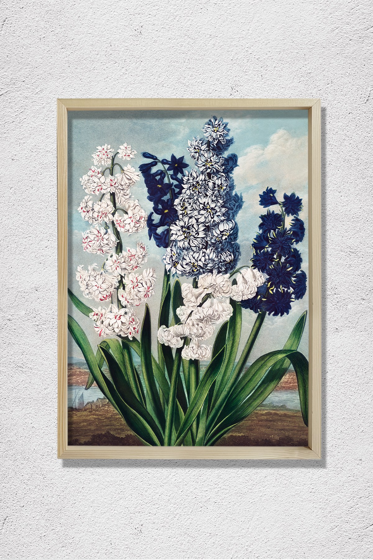 Flora Tapınağı'ndan Sümbül 1807 Doğal Ahşap Duvar Tablosu