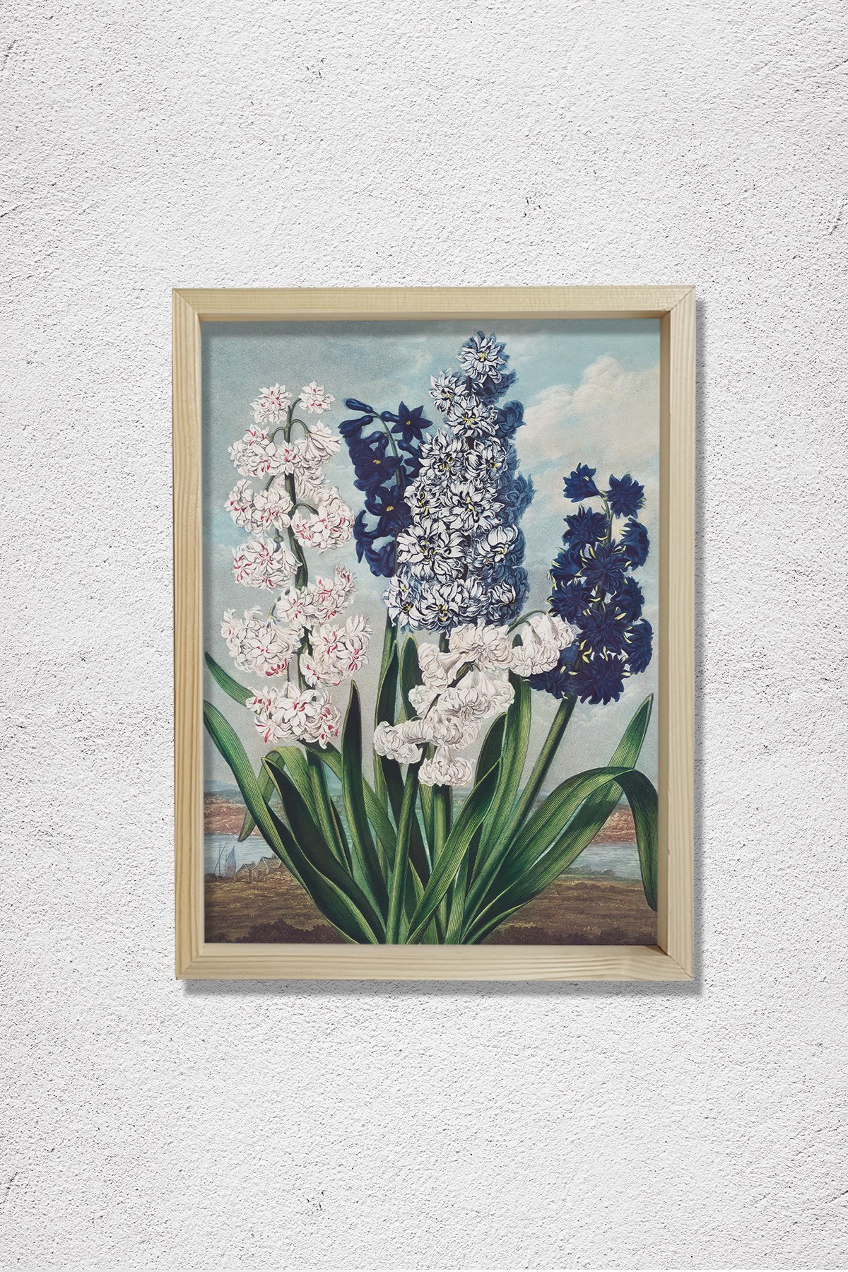 Flora Tapınağı'ndan Sümbül 1807 Doğal Ahşap Duvar Tablosu