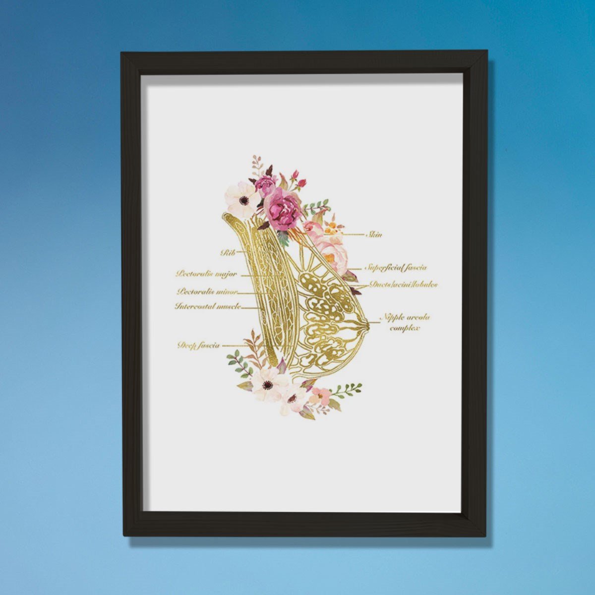 Göğüs Anatomisi Sanatı, Laktazi Ve Obgyn Sanatı, Doktor Odası Duvar Baskısı