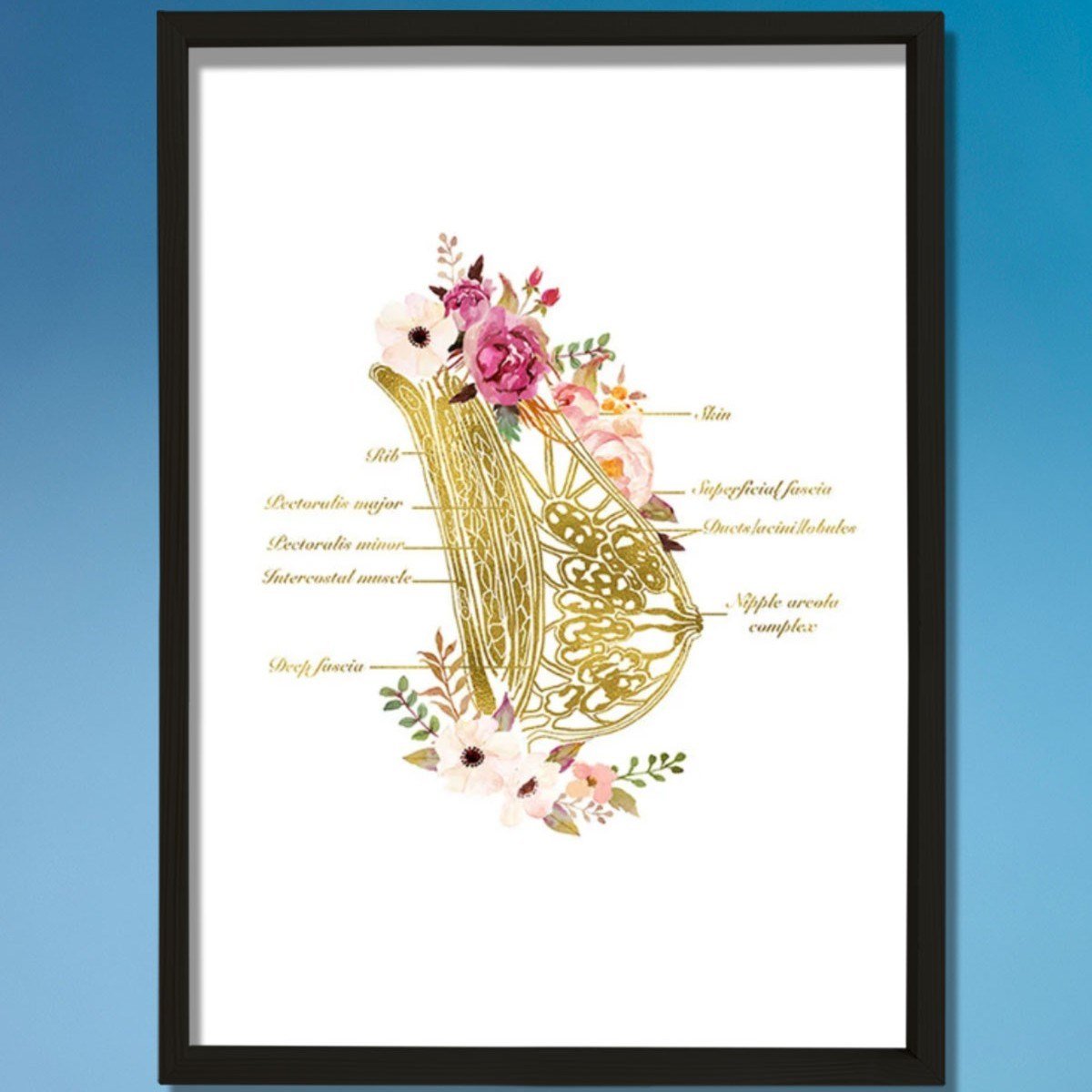 Göğüs Anatomisi Sanatı, Laktazi Ve Obgyn Sanatı, Doktor Odası Duvar Baskısı