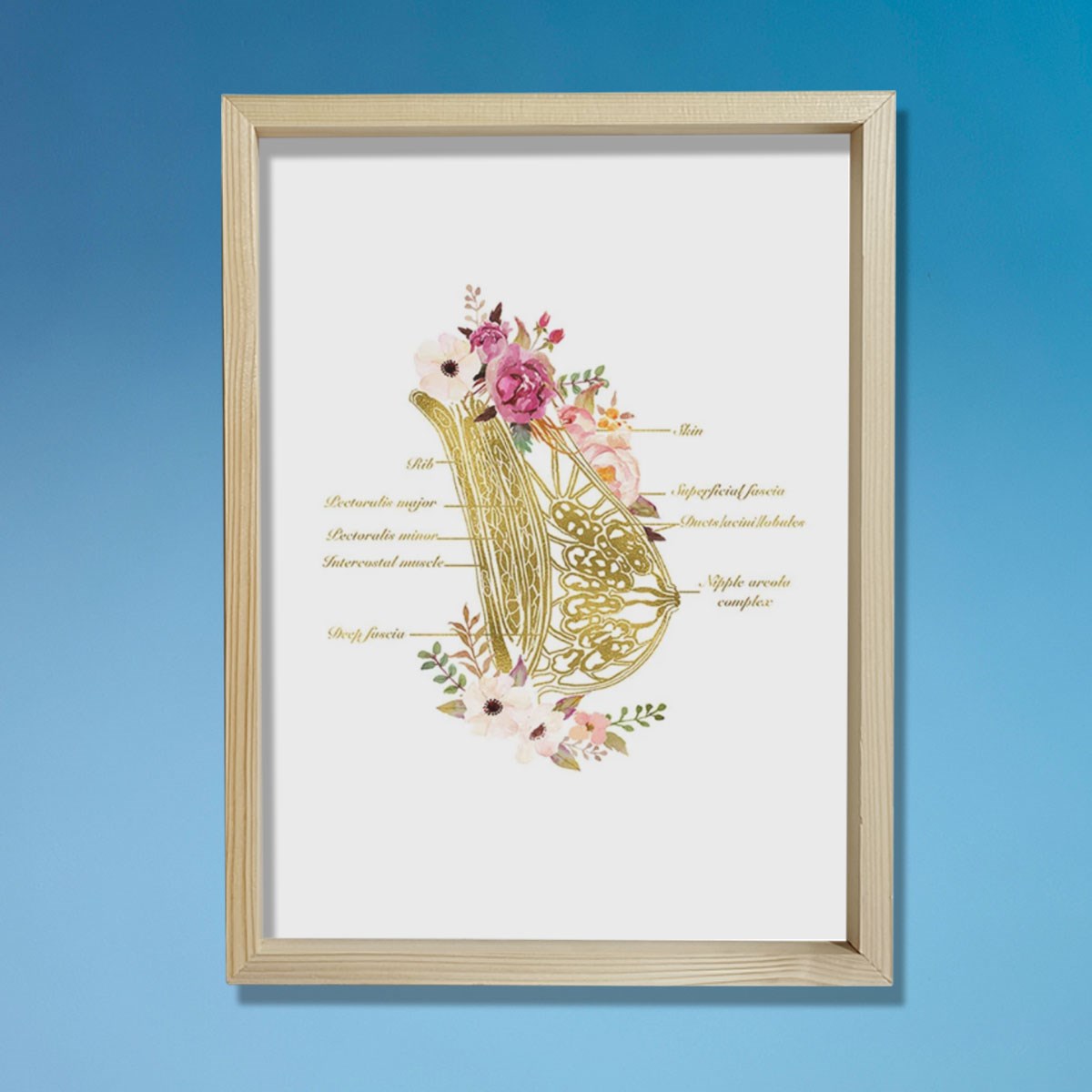 Göğüs Anatomisi Sanatı, Laktazi Ve Obgyn Sanatı, Doktor Odası Duvar Baskısı