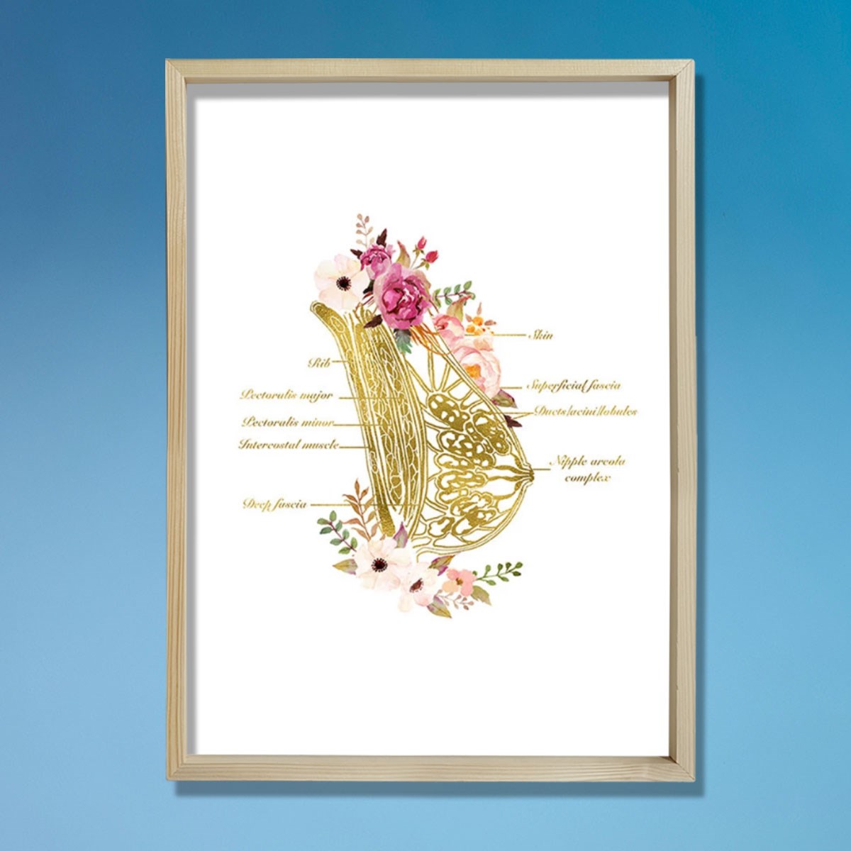 Göğüs Anatomisi Sanatı, Laktazi Ve Obgyn Sanatı, Doktor Odası Duvar Baskısı