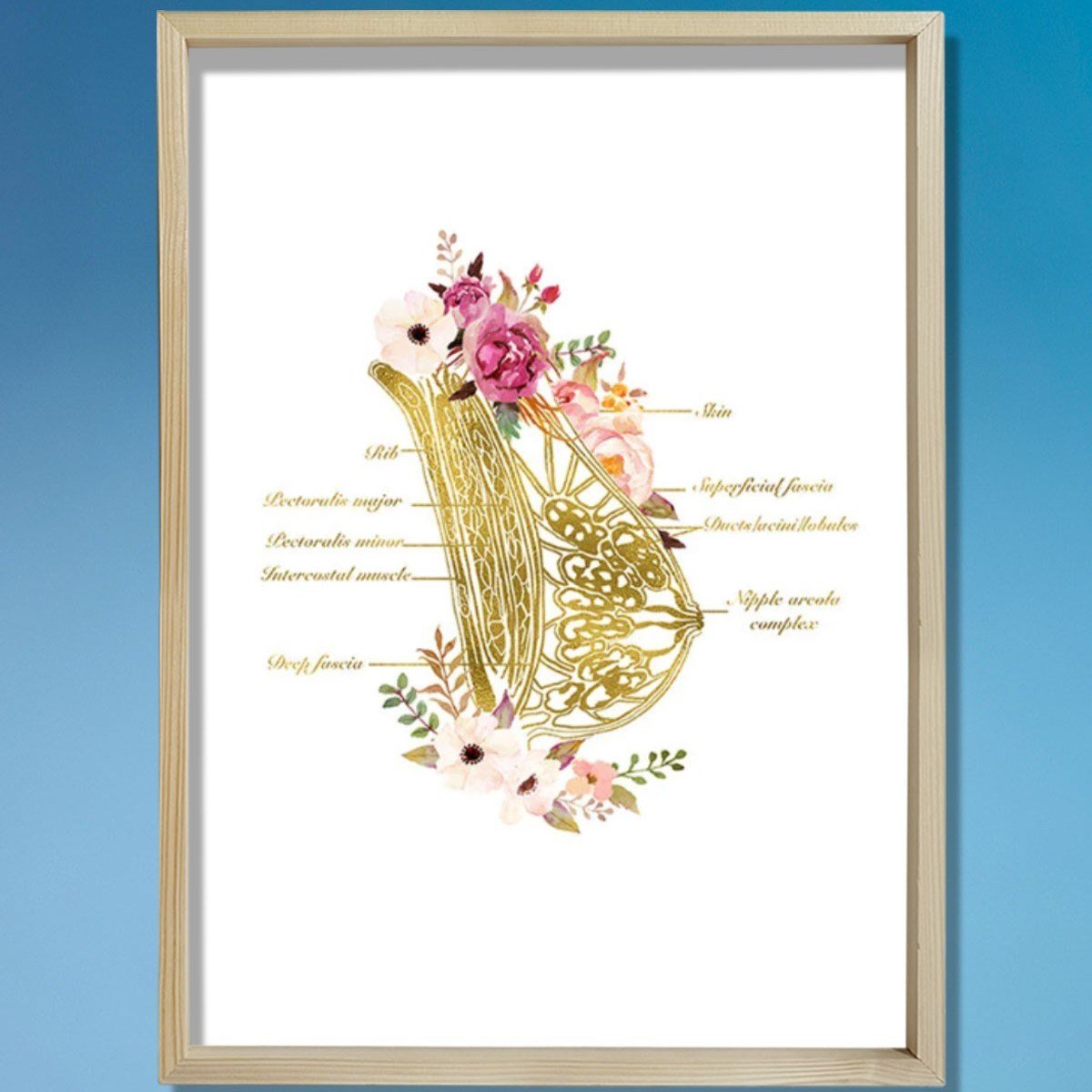 Göğüs Anatomisi Sanatı, Laktazi Ve Obgyn Sanatı, Doktor Odası Duvar Baskısı
