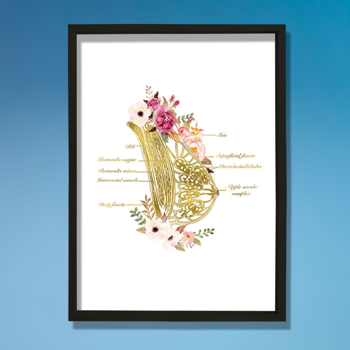 Göğüs Anatomisi Sanatı, Laktazi Ve Obgyn Sanatı, Doktor Odası Duvar Baskısı