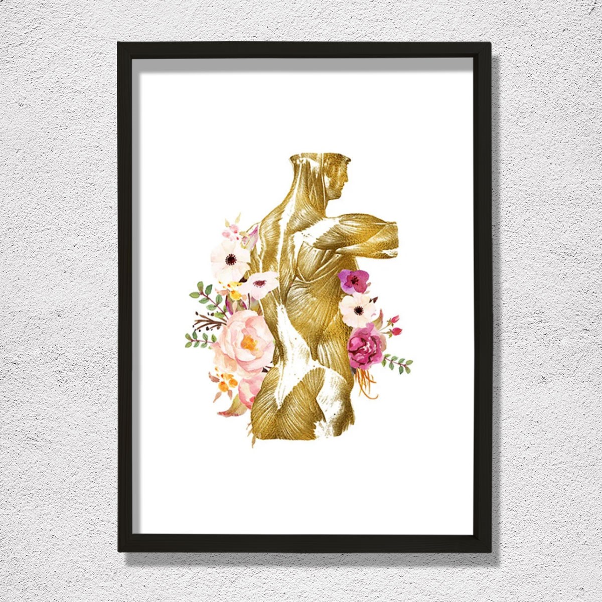 İnsan Anatomisi Baskısı, Kas Sistemi, Fiziksel Terapist Ofis Dekoru