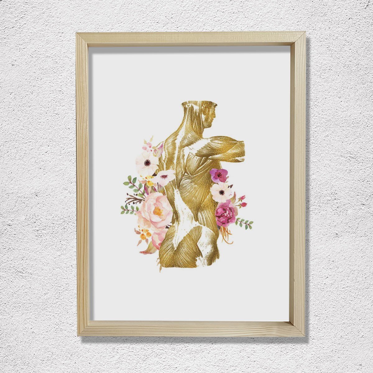 İnsan Anatomisi Baskısı, Kas Sistemi, Fiziksel Terapist Ofis Dekoru