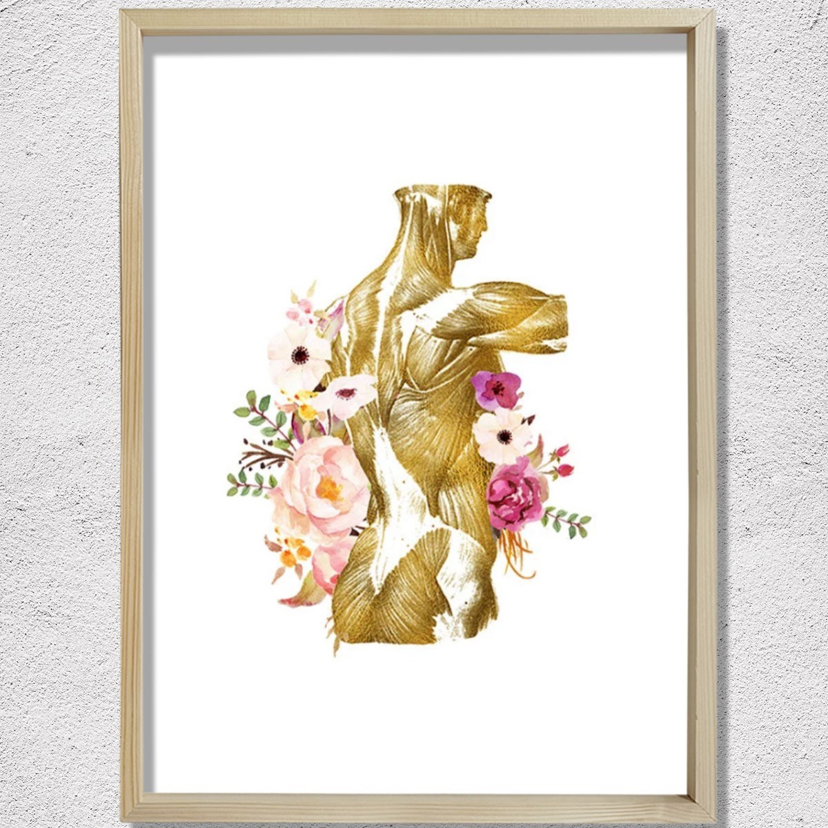 İnsan Anatomisi Baskısı, Kas Sistemi, Fiziksel Terapist Ofis Dekoru