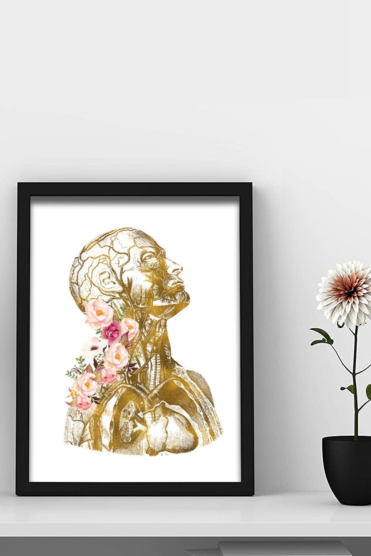 İnsan Anatomisi, Sanatal Doktor Odası Duvar Tablosu