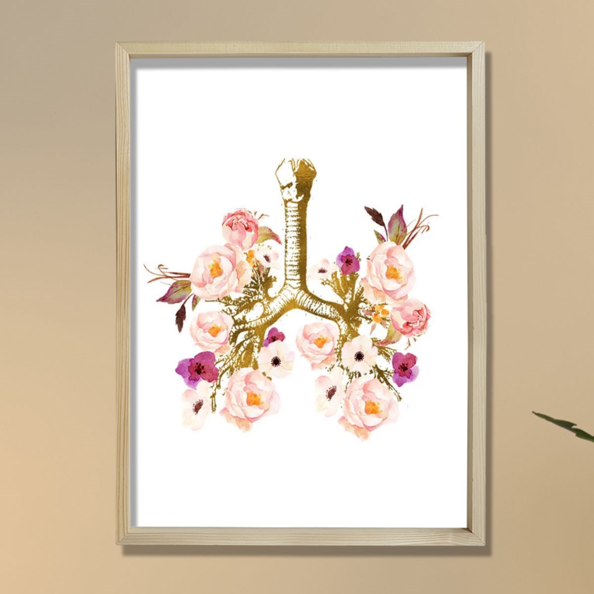 İnsan Anatomisi Sanatı, Tıbbi Sanat, Doktor Ofis Dekoru