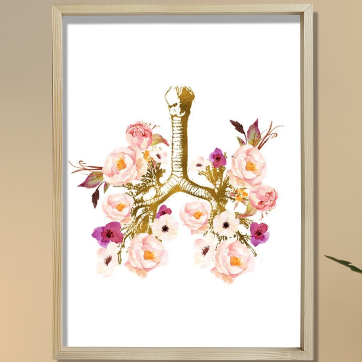 İnsan Anatomisi Sanatı, Tıbbi Sanat, Doktor Ofis Dekoru