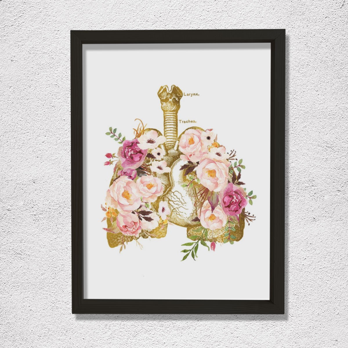 İnsan Anatomisi Sanatsal Baskısı, Solunum Sistemi, Göğüs Hastalıkları Doktor Tablosu
