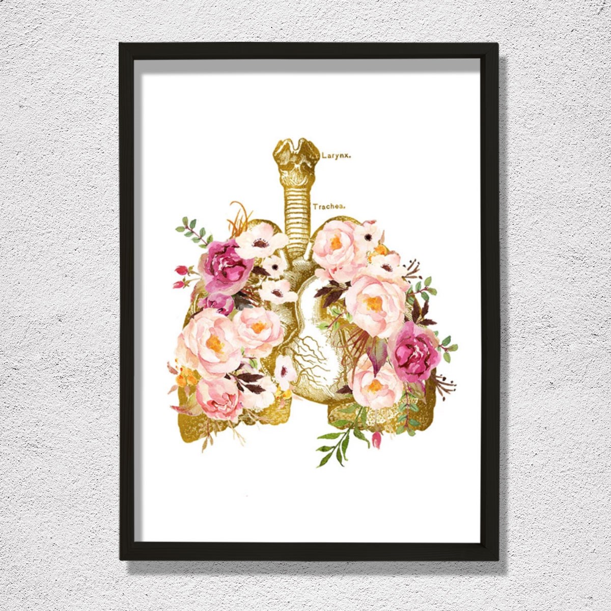 İnsan Anatomisi Sanatsal Baskısı, Solunum Sistemi, Göğüs Hastalıkları Doktor Tablosu