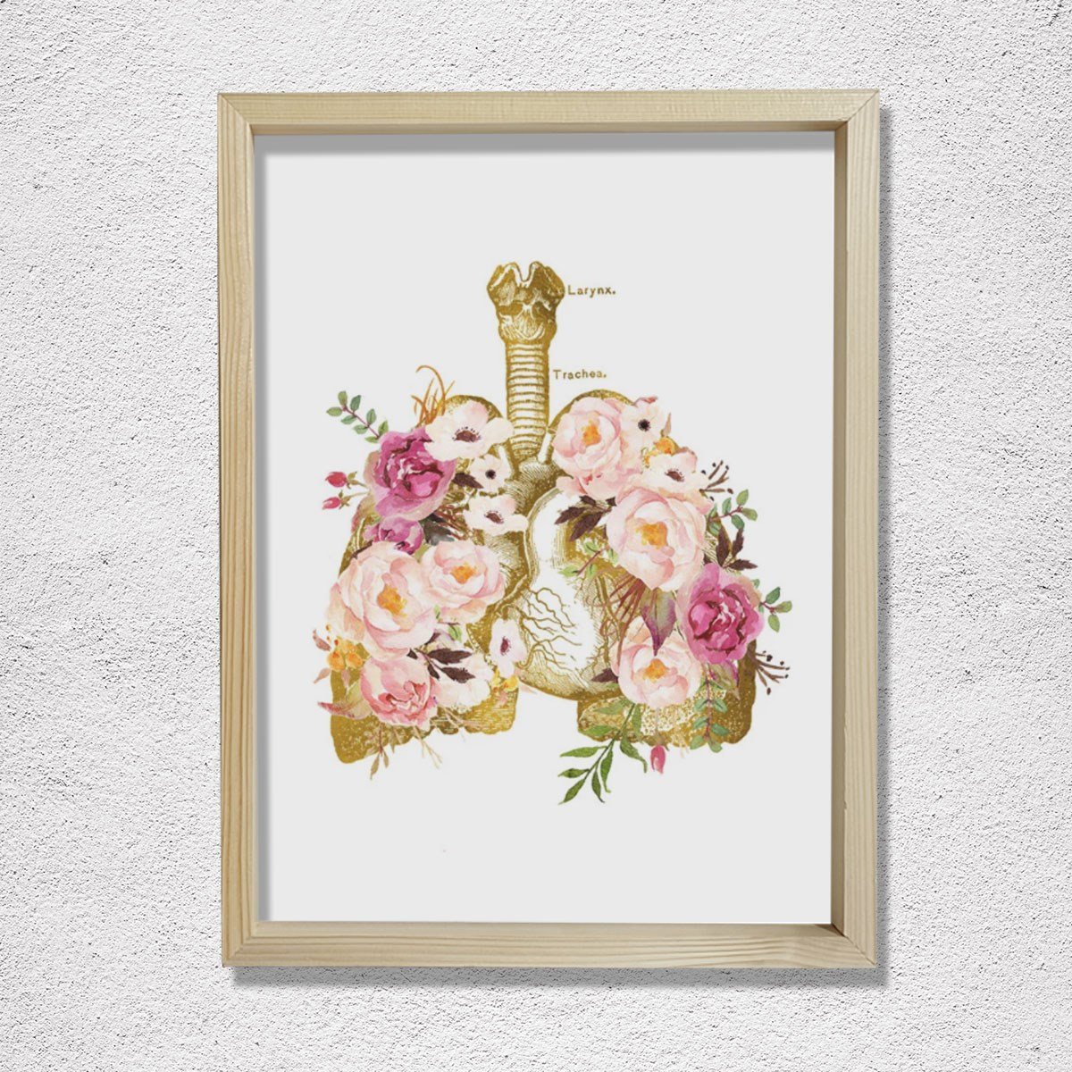 İnsan Anatomisi Sanatsal Baskısı, Solunum Sistemi, Göğüs Hastalıkları Doktor Tablosu