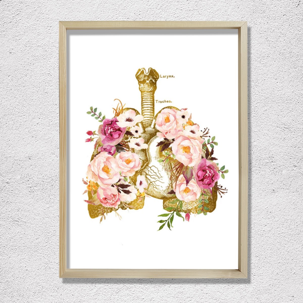 İnsan Anatomisi Sanatsal Baskısı, Solunum Sistemi, Göğüs Hastalıkları Doktor Tablosu