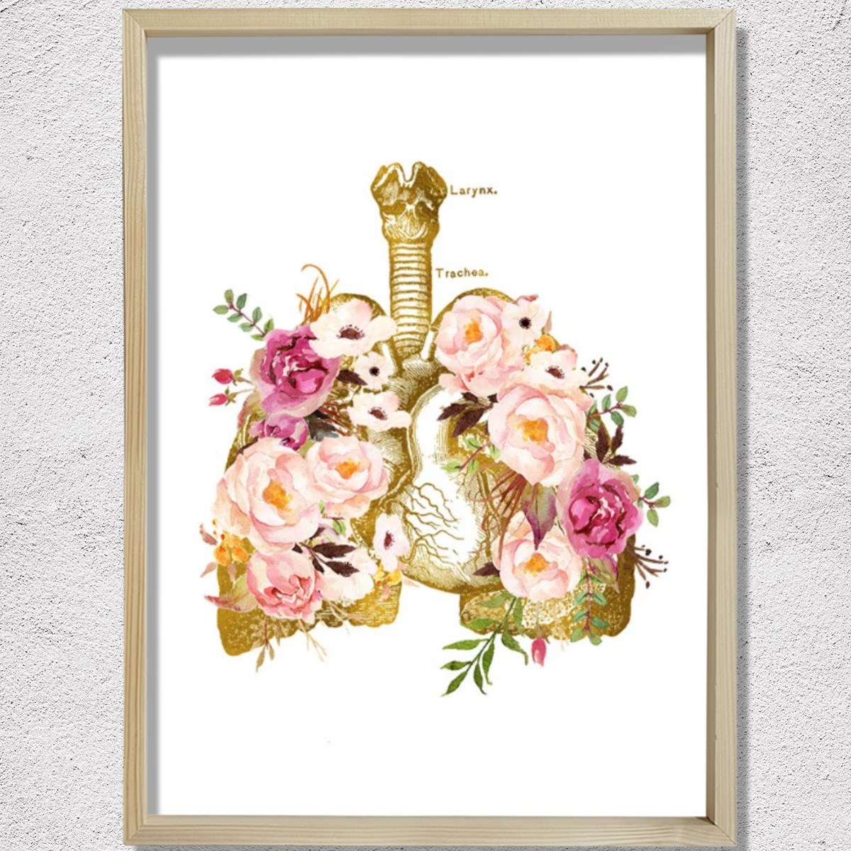 İnsan Anatomisi Sanatsal Baskısı, Solunum Sistemi, Göğüs Hastalıkları Doktor Tablosu