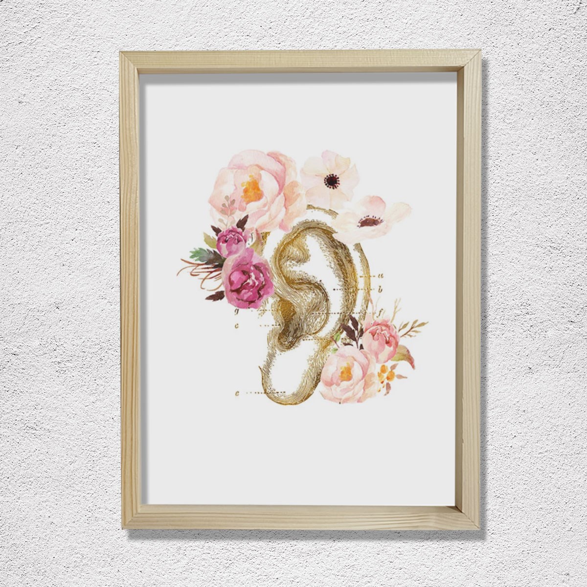 İnsan Kulak Anatomi Baskısı, Odyoloji, Odyolog, İşitme Doktoru Ofis Dekoru