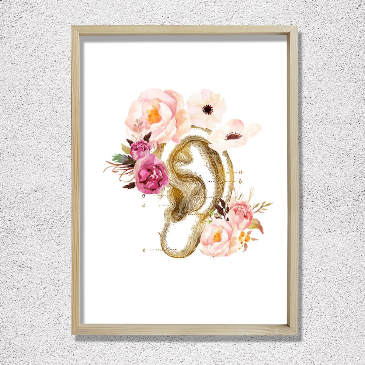 İnsan Kulak Anatomi Baskısı, Odyoloji, Odyolog, İşitme Doktoru Ofis Dekoru