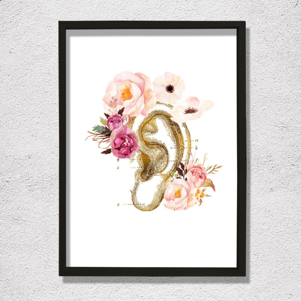 İnsan Kulak Anatomi Baskısı, Odyoloji, Odyolog, İşitme Doktoru Ofis Dekoru