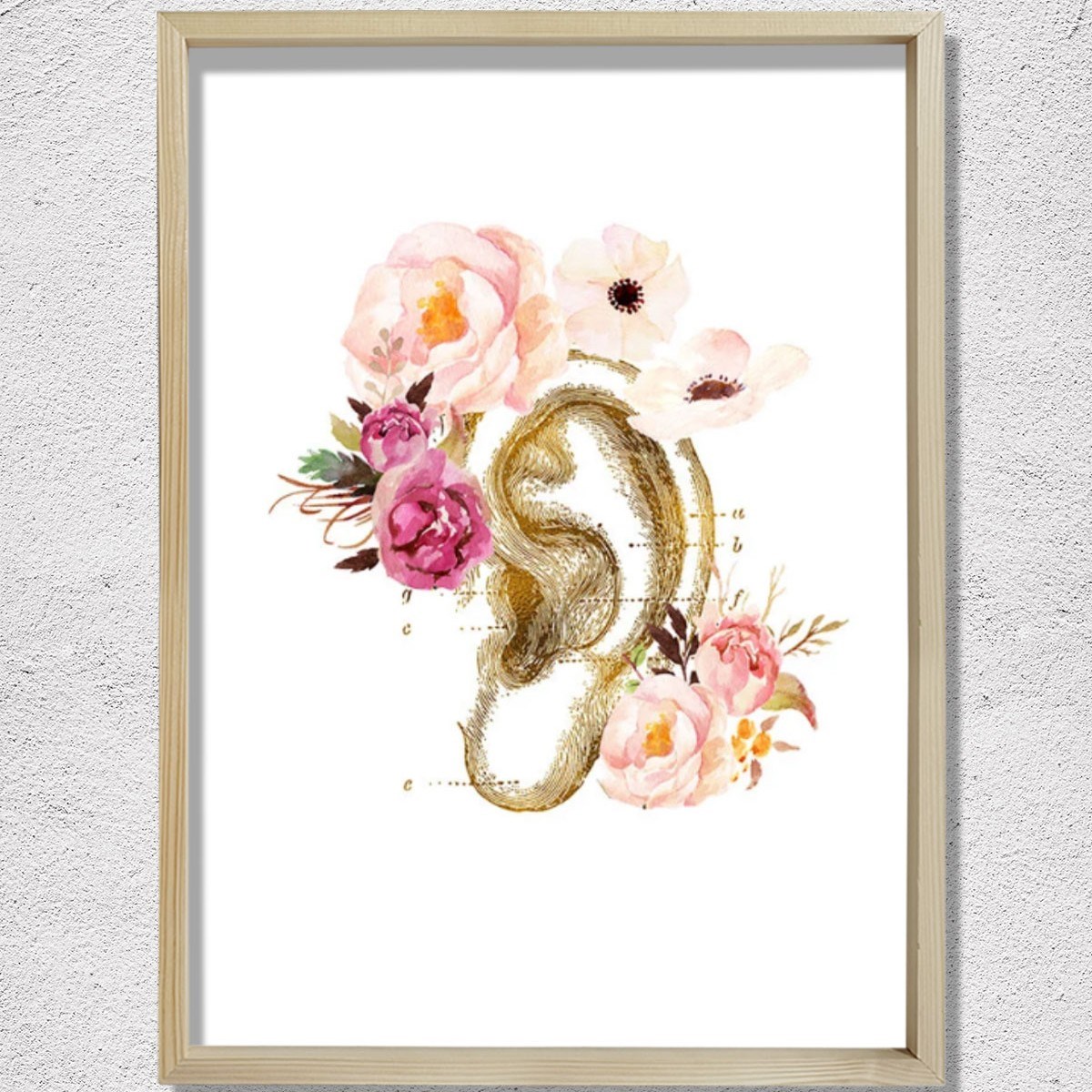 İnsan Kulak Anatomi Baskısı, Odyoloji, Odyolog, İşitme Doktoru Ofis Dekoru