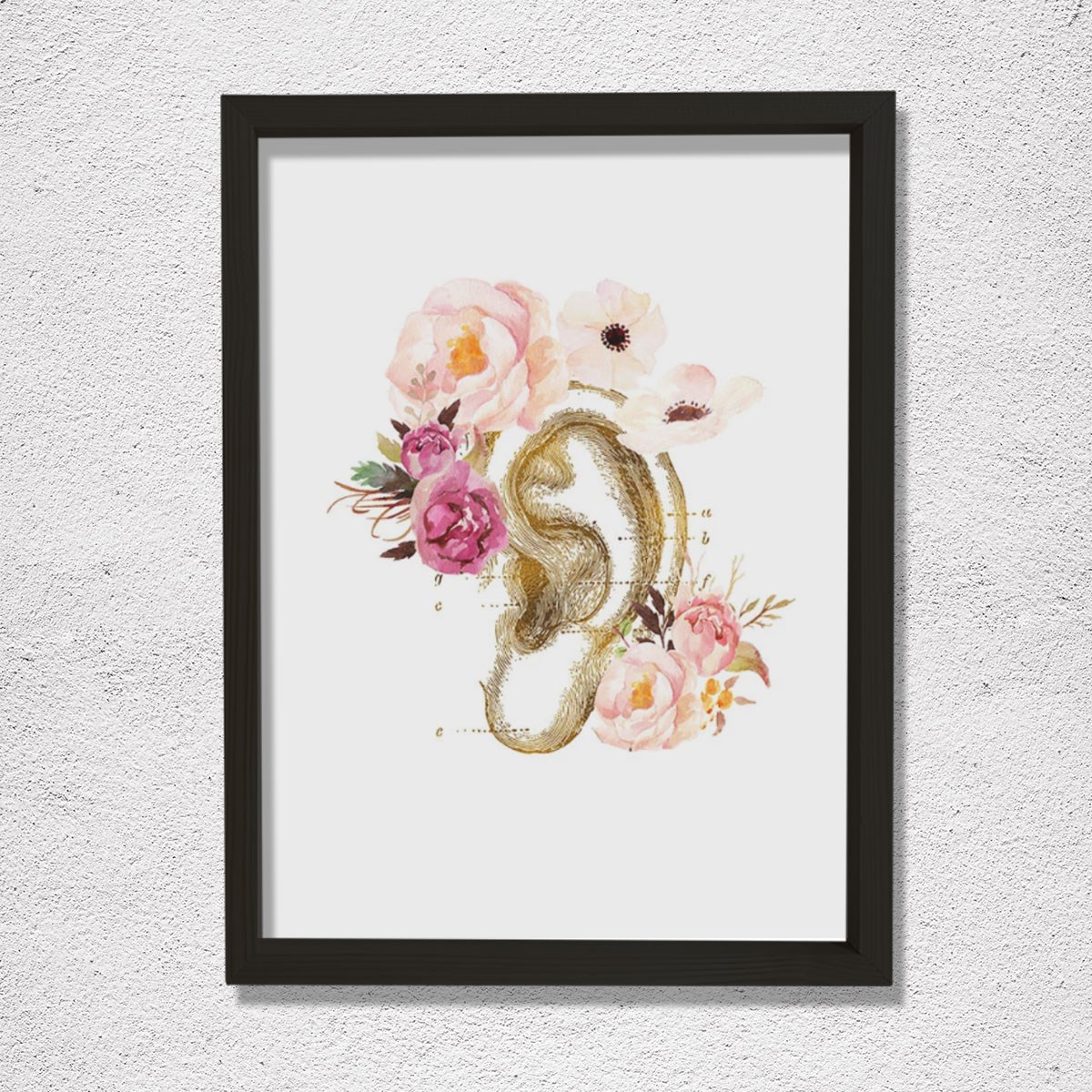 İnsan Kulak Anatomi Baskısı, Odyoloji, Odyolog, İşitme Doktoru Ofis Dekoru