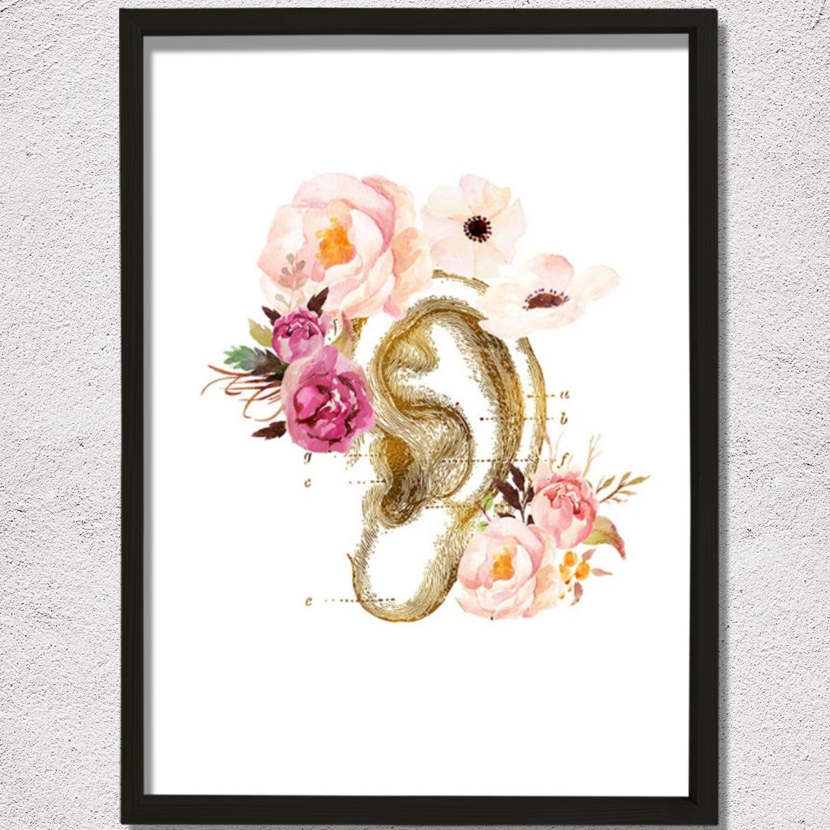 İnsan Kulak Anatomi Baskısı, Odyoloji, Odyolog, İşitme Doktoru Ofis Dekoru