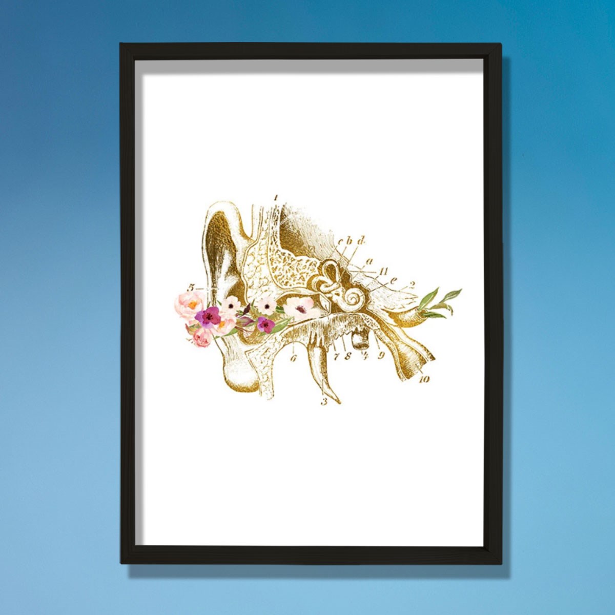 İnsan Kulak Anatomisi, Kulak Sanatsal Baskısı, Odyolog Ofis Dekoru