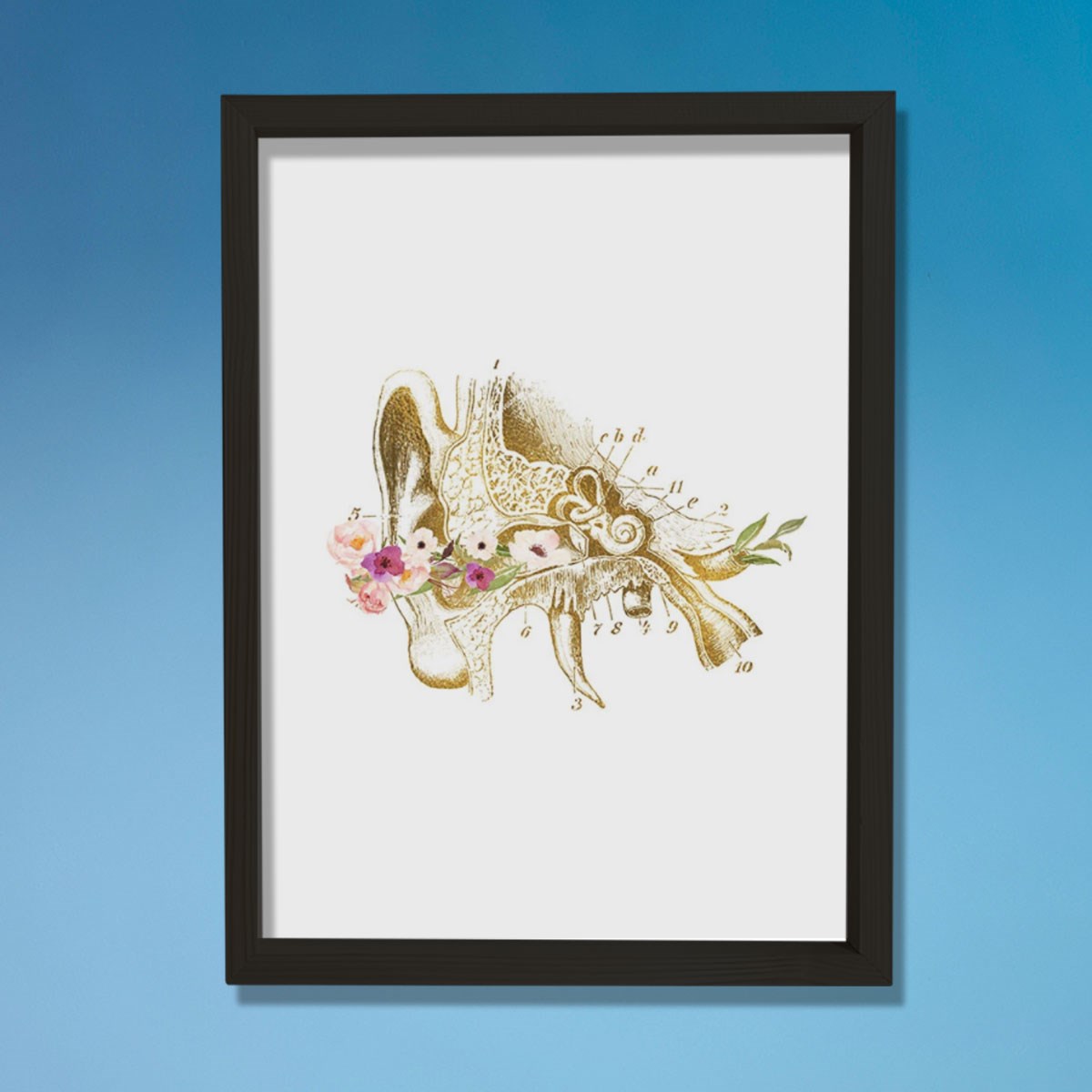 İnsan Kulak Anatomisi, Kulak Sanatsal Baskısı, Odyolog Ofis Dekoru