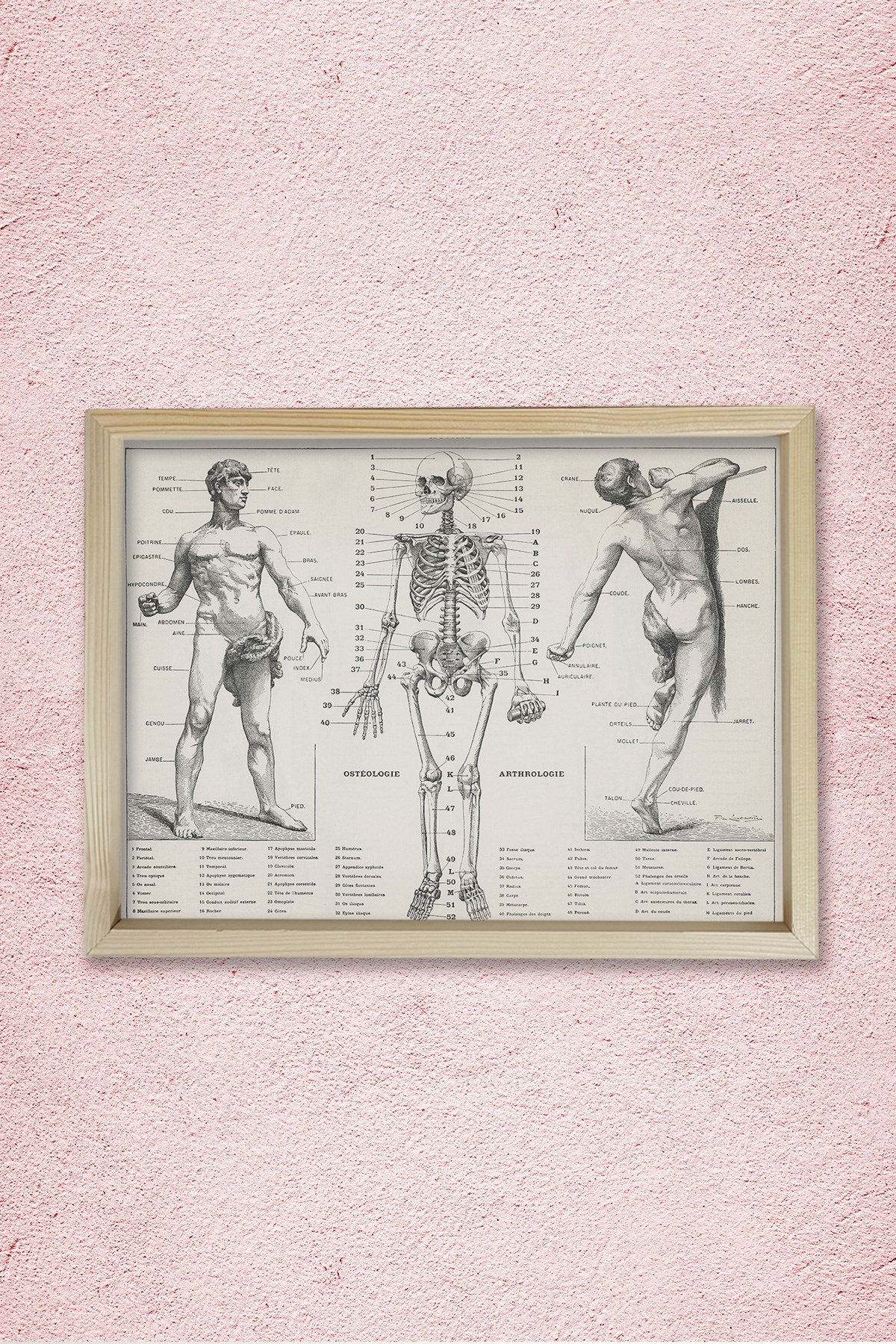 İnsan Vücudunun Antik Bir İllüstrasyonu 1900 Doğal Ahşap Duvar Tablosu