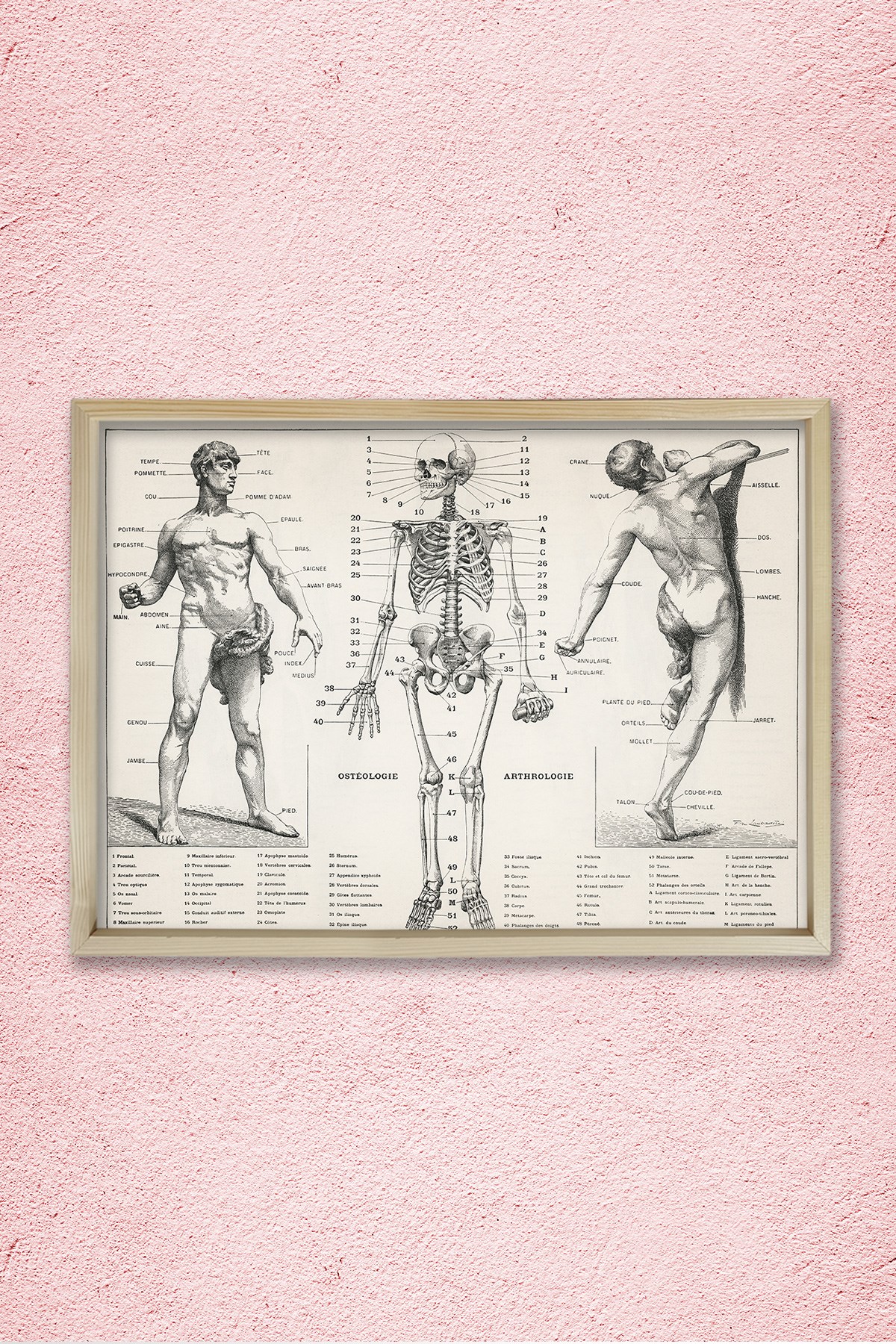 İnsan Vücudunun Antik Bir İllüstrasyonu 1900 Doğal Ahşap Duvar Tablosu