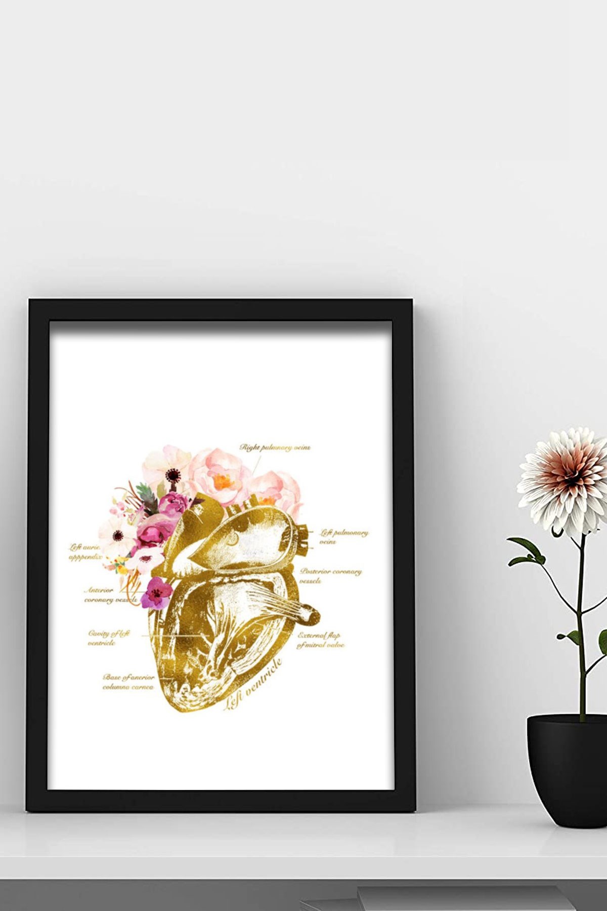 Kalp Sanatı , İnsan Organları Anatomisi, Kardiyolog  Doktor Odası Duvar Tablosu