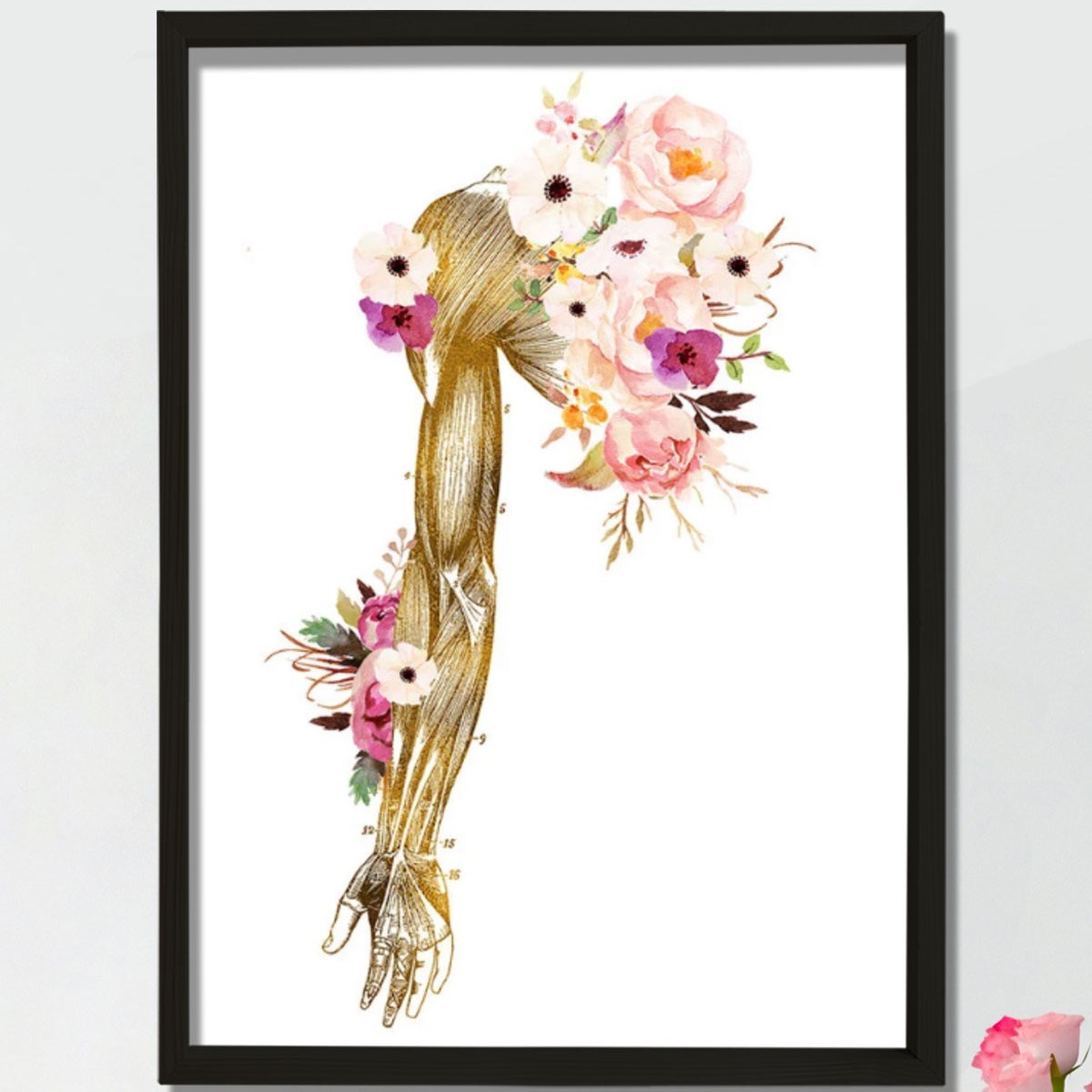 Kayropraktik Sanat, El Anatomisi Sanat Hediyesi, Fiziksel Terapist Ofis Dekoru