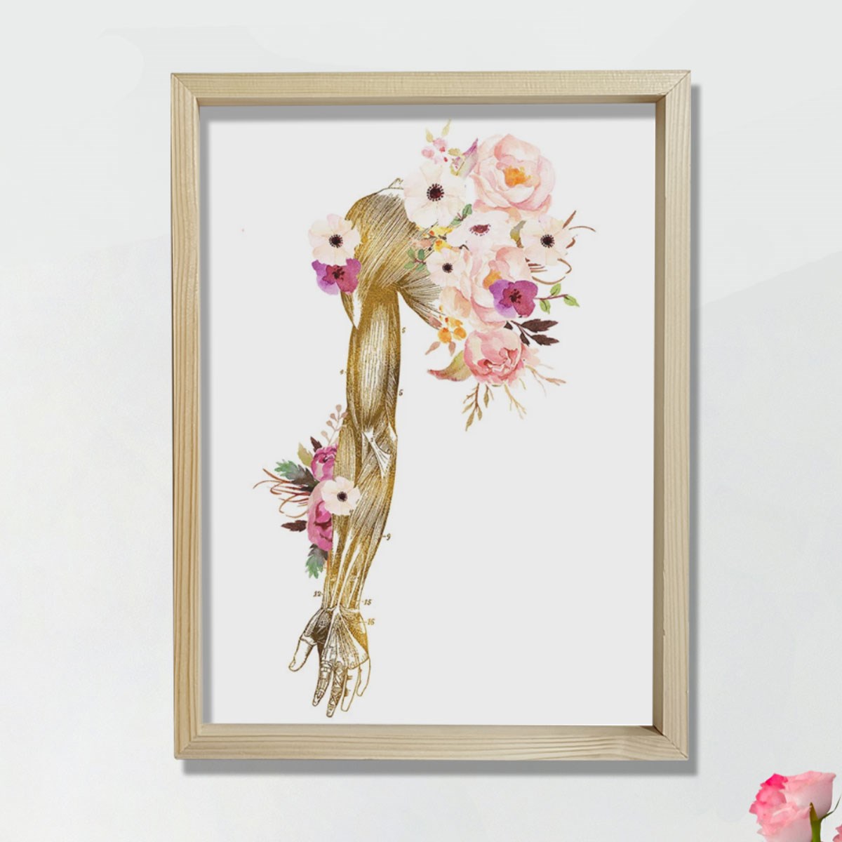 Kayropraktik Sanat, El Anatomisi Sanat Hediyesi, Fiziksel Terapist Ofis Dekoru