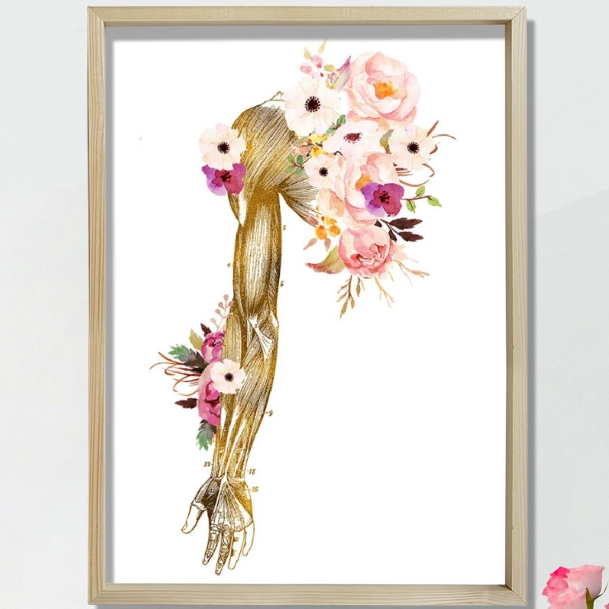 Kayropraktik Sanat, El Anatomisi Sanat Hediyesi, Fiziksel Terapist Ofis Dekoru