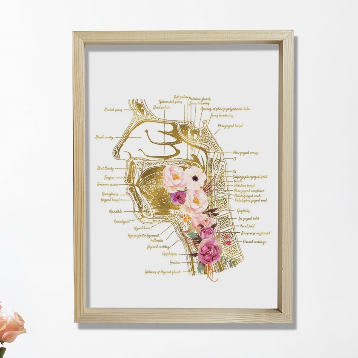 Konuşma Dili Patoloğu, Konuşma Terapisti Ofis Dekorasyonu