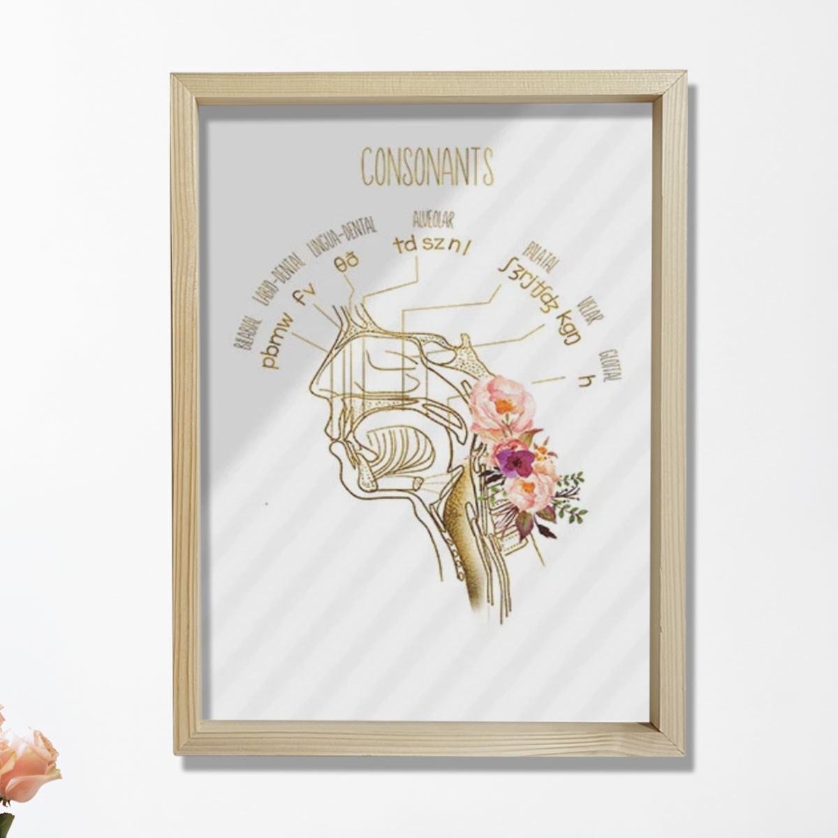 Konuşma Dili Patoloğu, Konuşma Terapisti Ofis Dekorasyonu