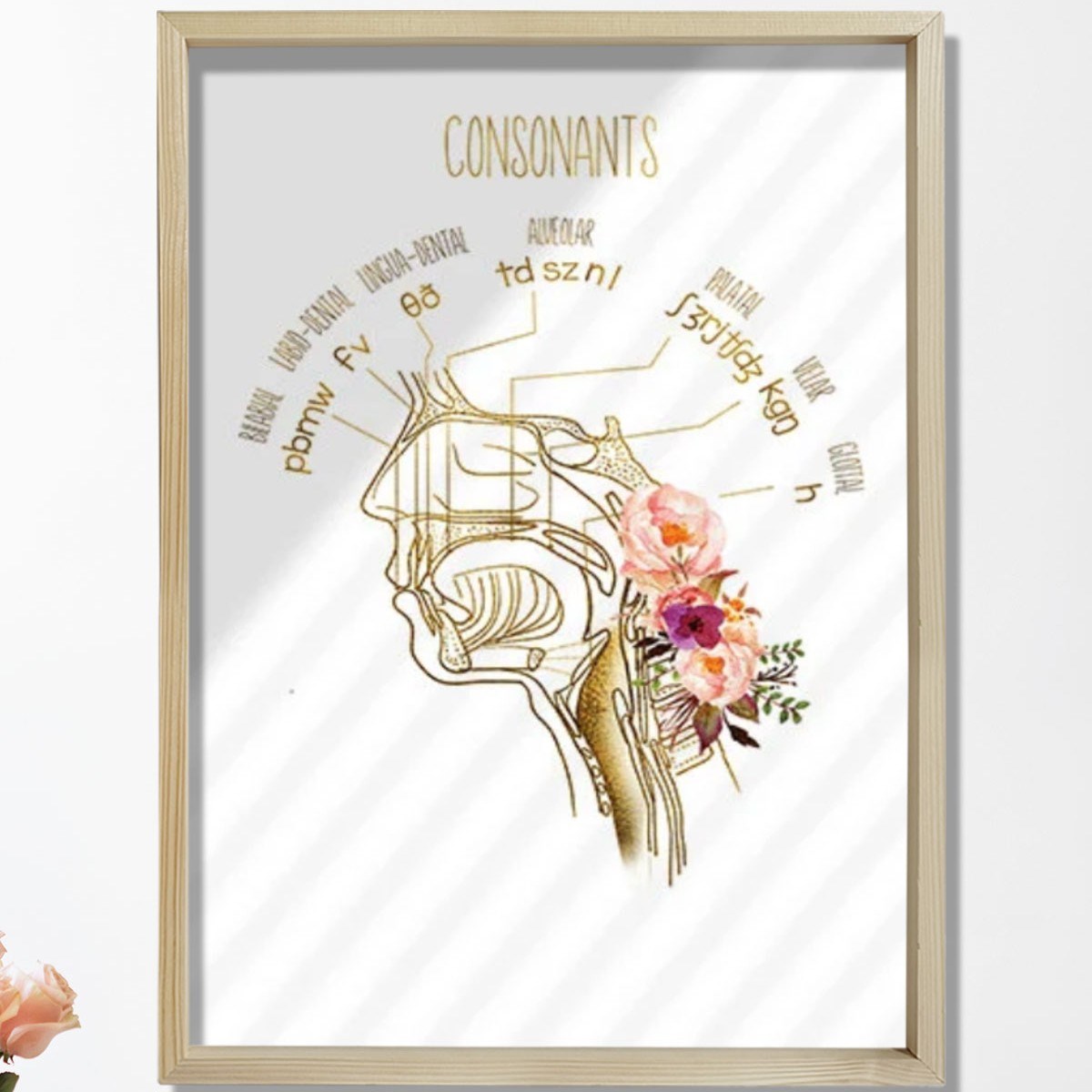 Konuşma Dili Patoloğu, Konuşma Terapisti Ofis Dekorasyonu