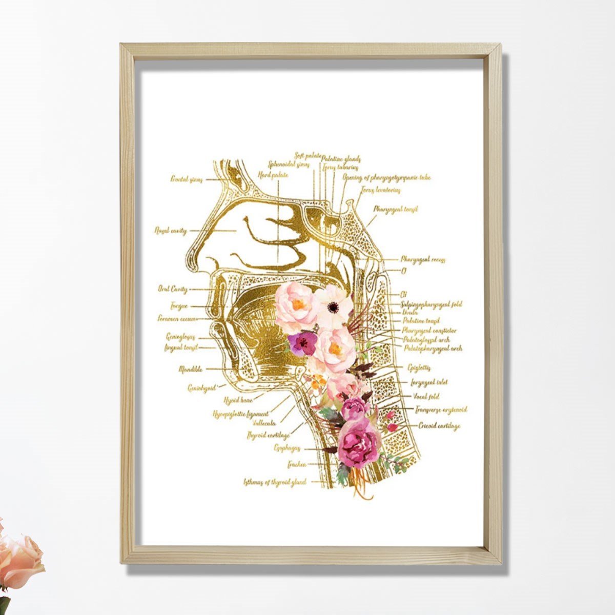 Konuşma Dili Patoloğu, Konuşma Terapisti Ofis Dekorasyonu